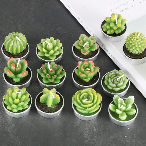 Succulents - Image 5